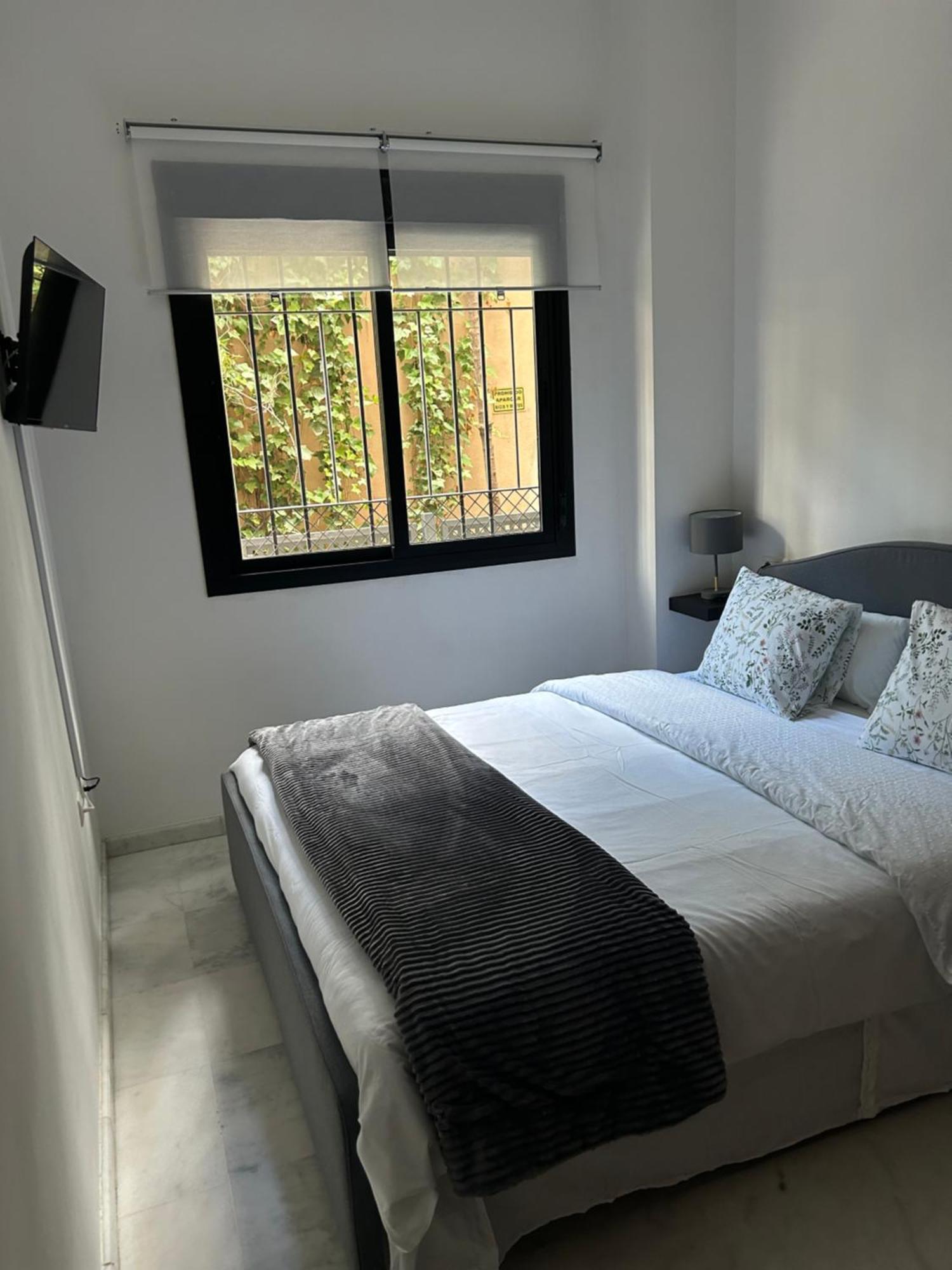 Apartamento Proximo Al Centro De 2 Dormitorios Con Piscina. إشبيلية المظهر الخارجي الصورة
